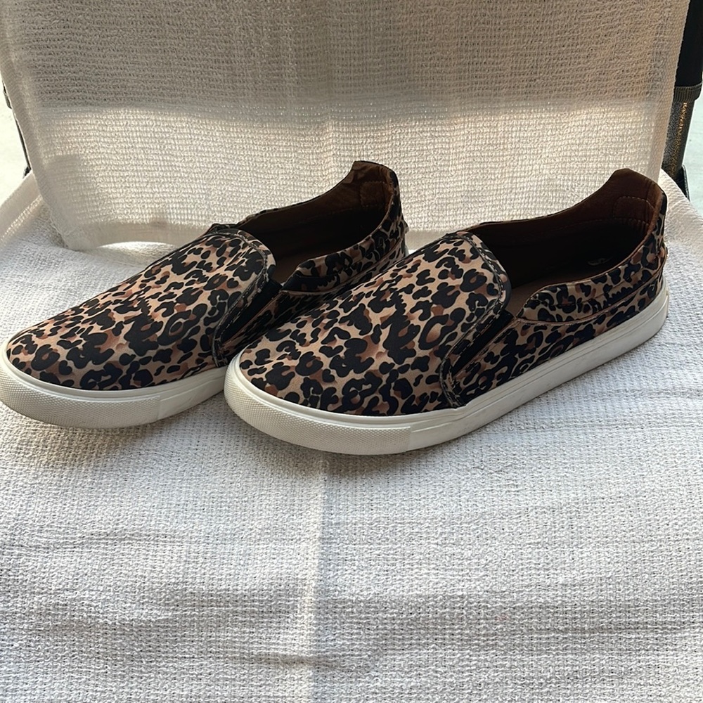 Leopard Steve Madden